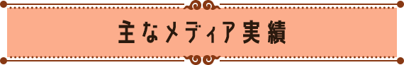 主なメディア実績