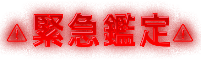 二人で、あなたのために 緊急鑑定